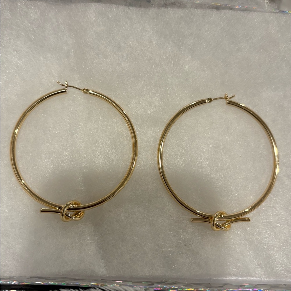 Elegant Gold Hoop Earrings